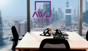 Business Setup Success: Step-by-Step UAE Company Formation Process