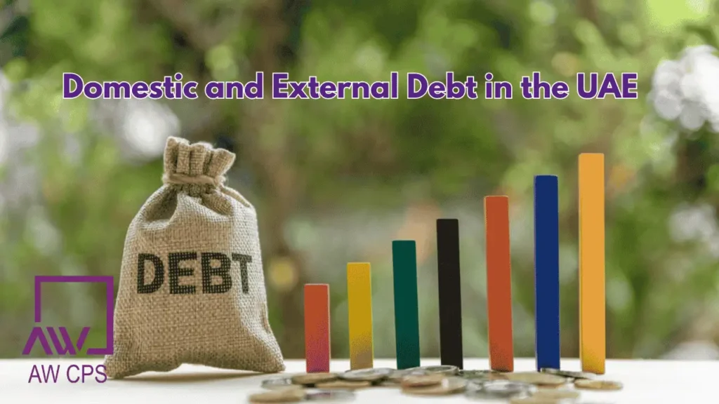 Domestic and External Debt in the UAE: A Complete Guide by AW CPS