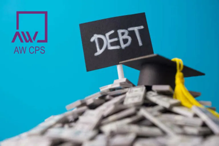 What is Domestic Debt?