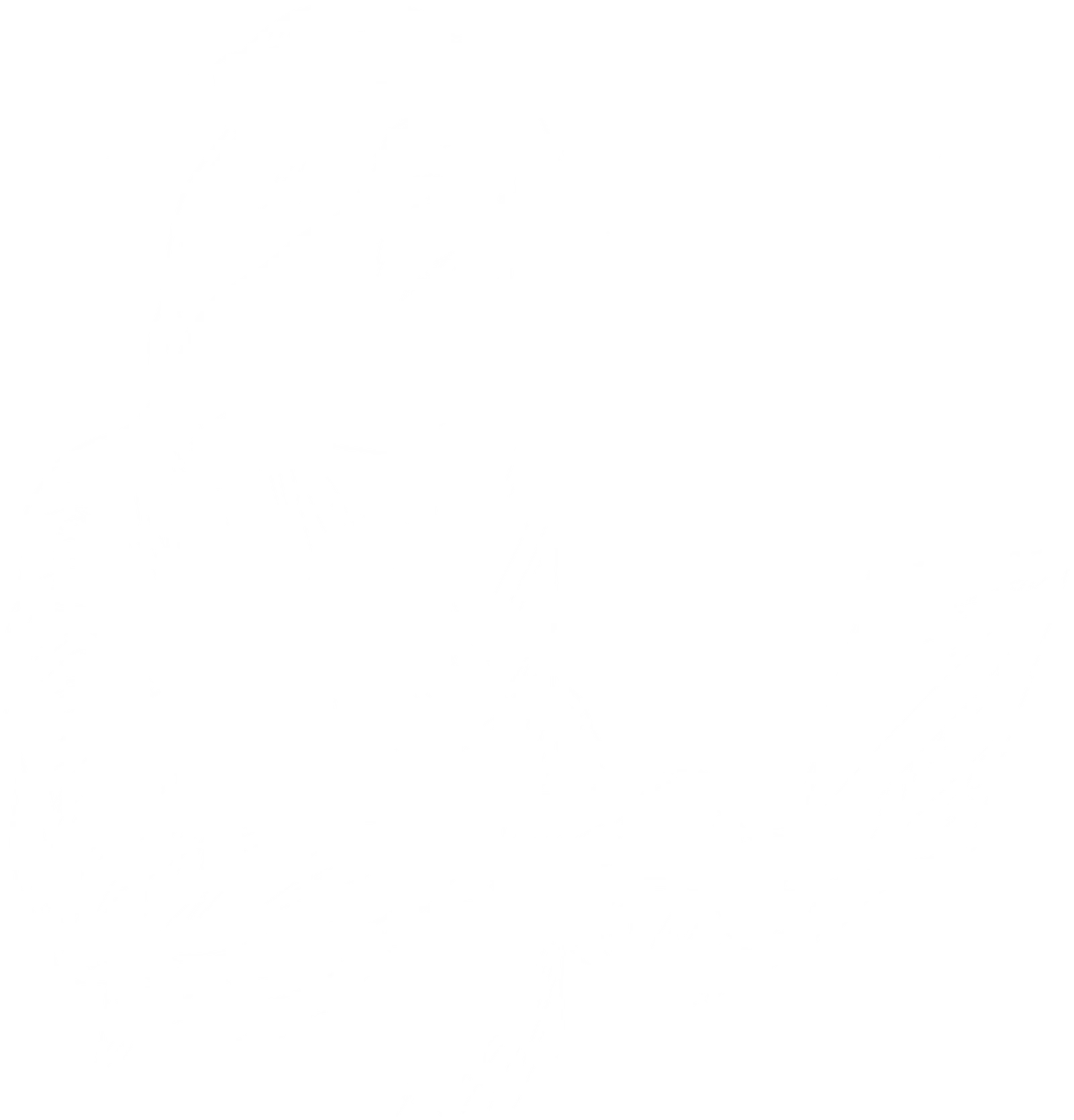 Debt Management & Collection Services