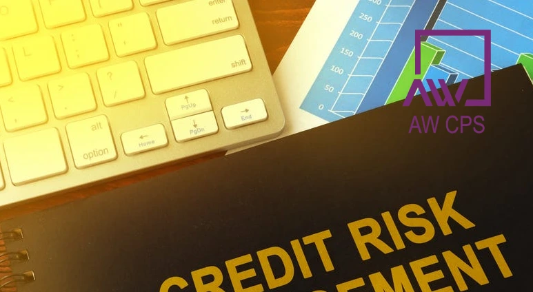 What Is Trade Credit Risk Management?