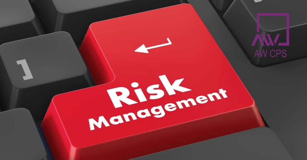 What Are Enterprise Risk Management Services?